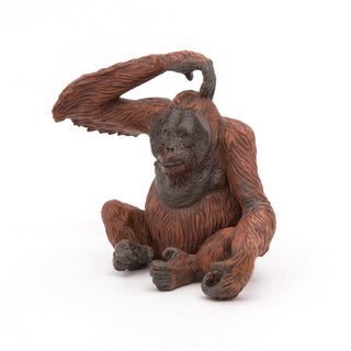 ORANG-UTANG