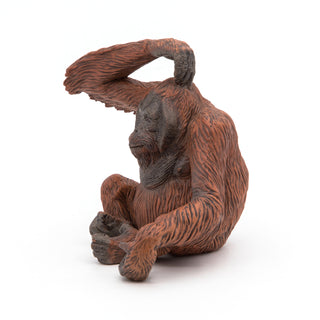 ORANG-UTANG