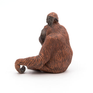 ORANG-UTANG