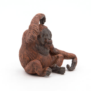 ORANG-UTANG