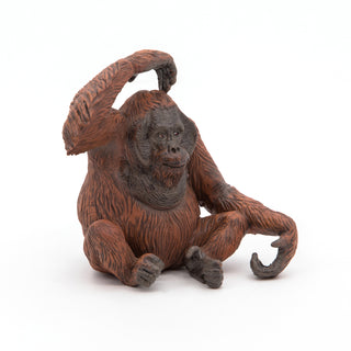 ORANG-UTANG