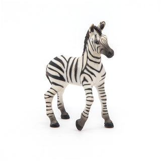 ZEBRA CUB