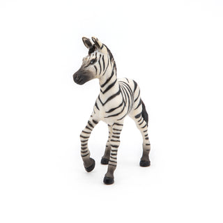 ZEBRA CUB