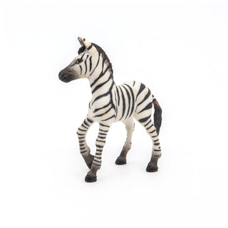ZEBRA CUB