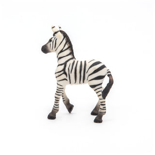 ZEBRA CUB