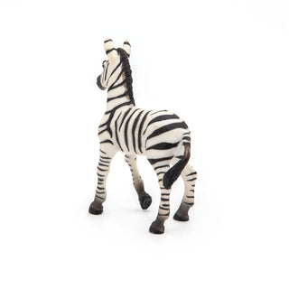 ZEBRA CUB