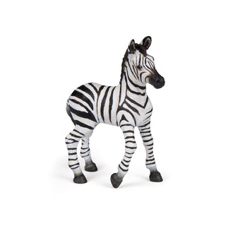 ZEBRA CUB