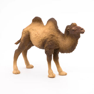 BACTRIAN CAMEL
