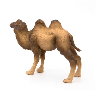 BACTRIAN CAMEL