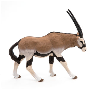 ORYX ANTELOPE