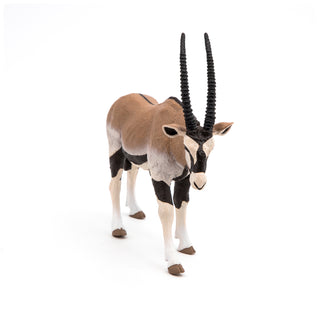 ORYX ANTELOPE