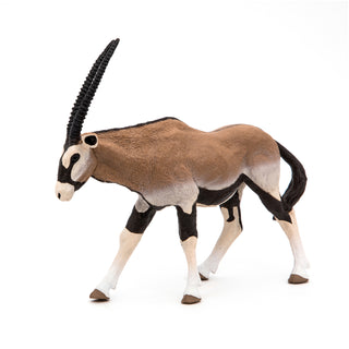ORYX ANTELOPE
