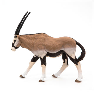 ORYX ANTELOPE