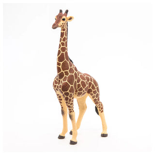 GIRAFFE MALE
