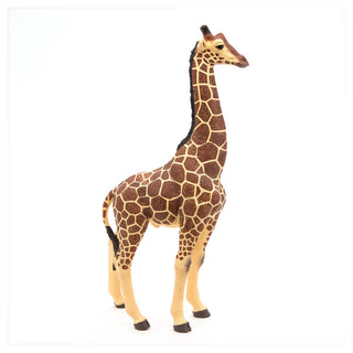 GIRAFFE MALE