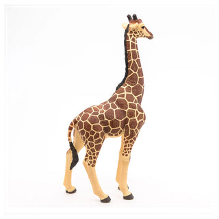 GIRAFFE MALE