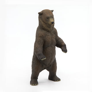GRIZZLY BEAR