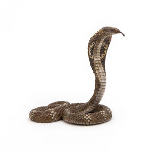 KING COBRA