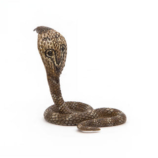 KING COBRA