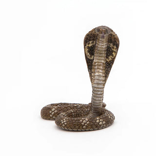KING COBRA