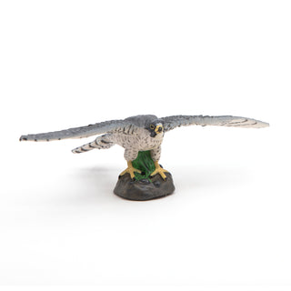 HAWK