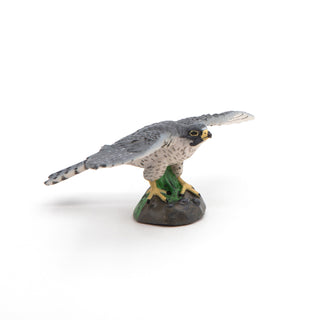 HAWK