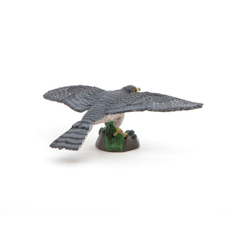 HAWK