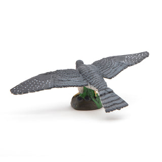 HAWK