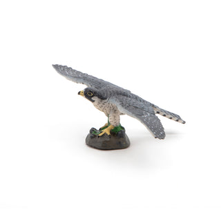 HAWK