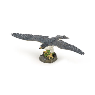 HAWK