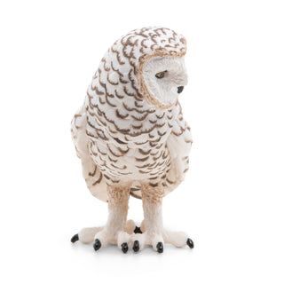 SNOWY OWL