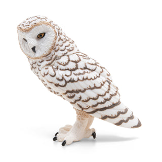 SNOWY OWL