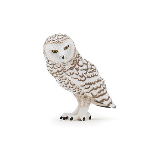 SNOWY OWL