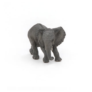 YOUNG AFRICAN ELEPHANT