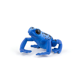 EQUATORIAL BLUE FROG