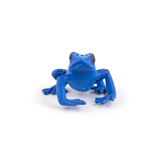 EQUATORIAL BLUE FROG