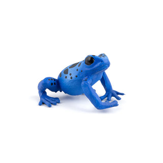 EQUATORIAL BLUE FROG