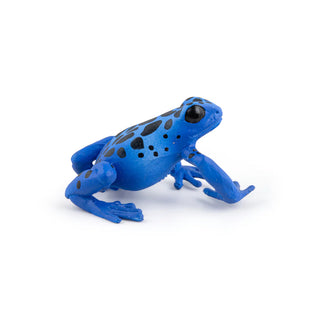 EQUATORIAL BLUE FROG