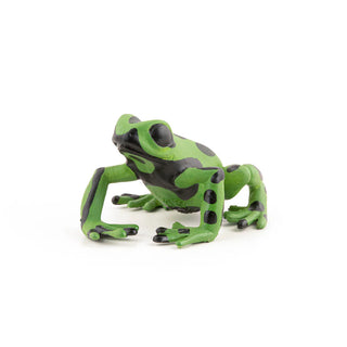 EQUATORIAL GREEN FROG