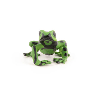 EQUATORIAL GREEN FROG