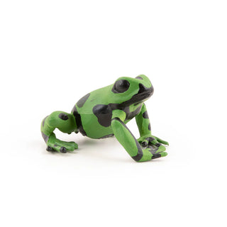 EQUATORIAL GREEN FROG