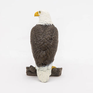 SEA EAGLE