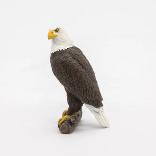 SEA EAGLE