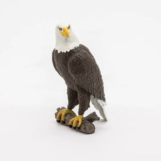SEA EAGLE
