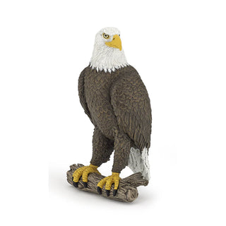 SEA EAGLE