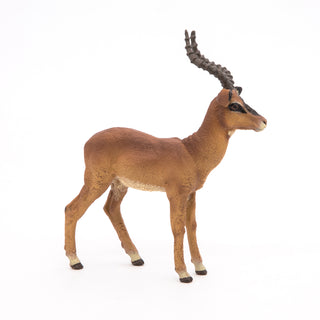 IMPALA