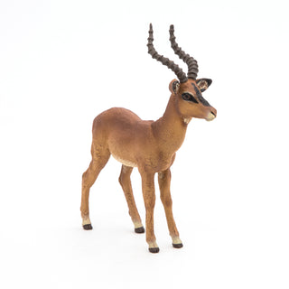 IMPALA