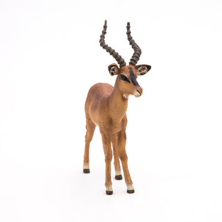IMPALA
