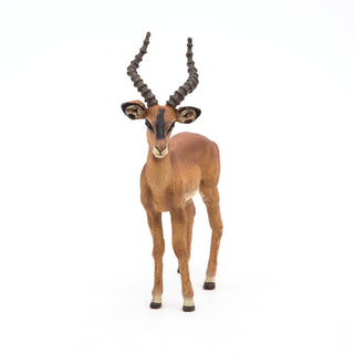 IMPALA