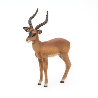 IMPALA